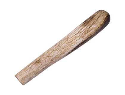 Stabilized Giraffe Bone 97