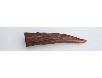 Moose tip 10cm