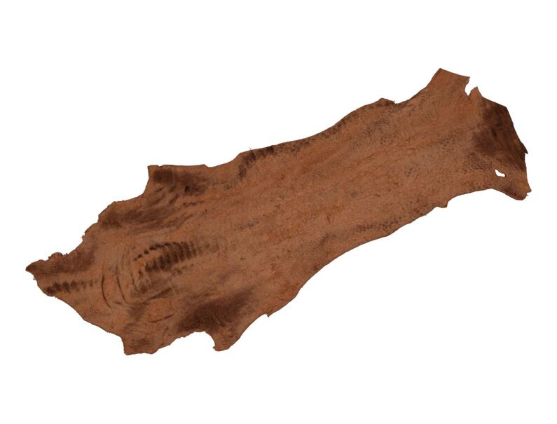 Ostrich skin 110