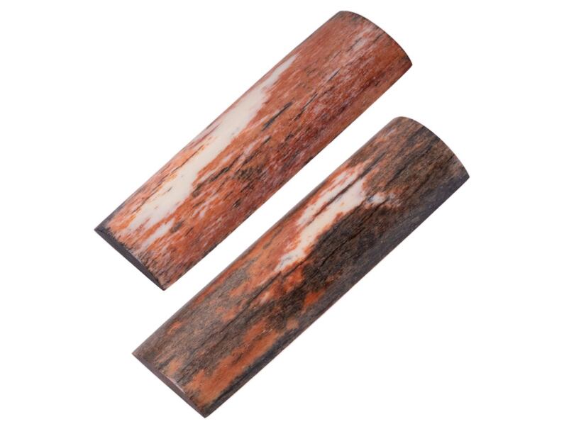 Stabilized giraffe bone 27