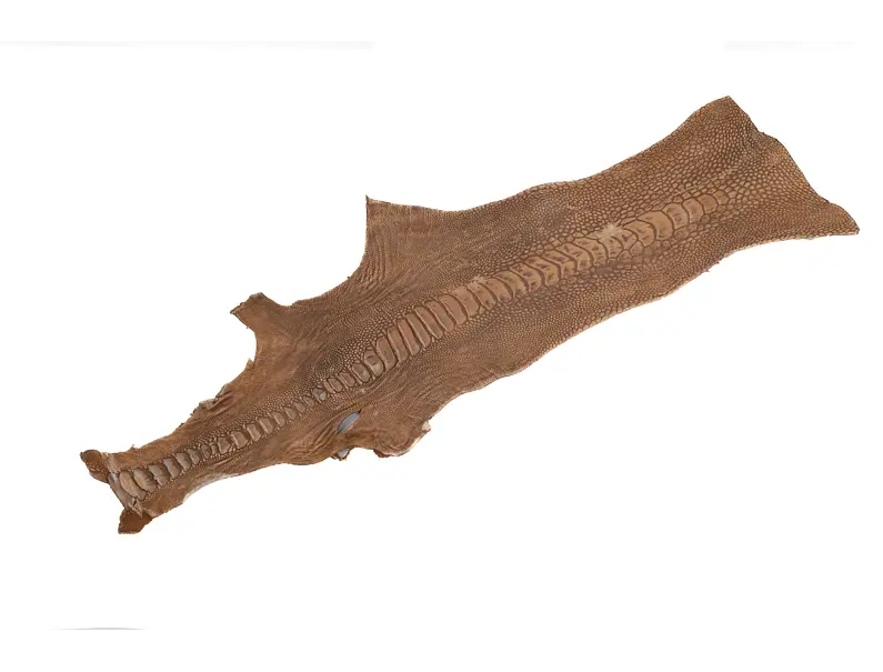 Ostrich skin 1