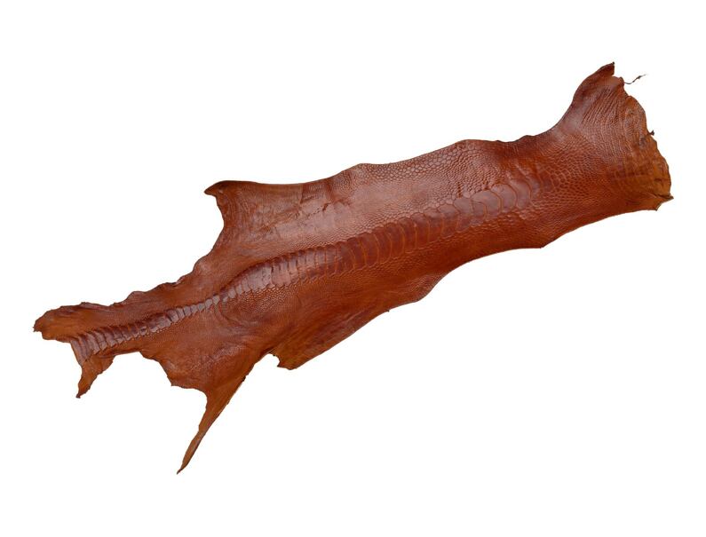 Ostrich skin 86