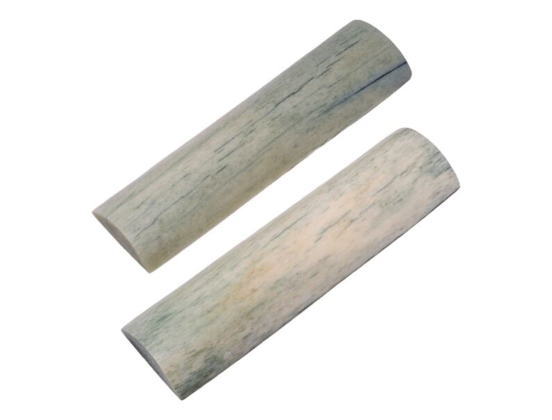 Stabilized giraffe bone 18