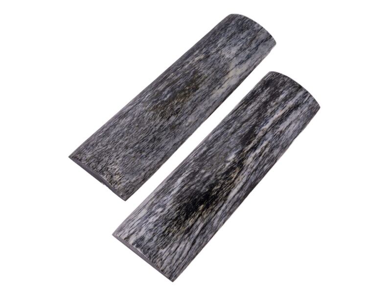 Stabilized Giraffe Bone 40