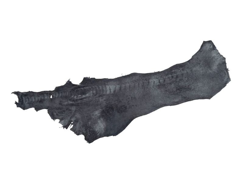Ostrich skin 42