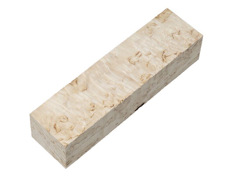 Curly Birch 26