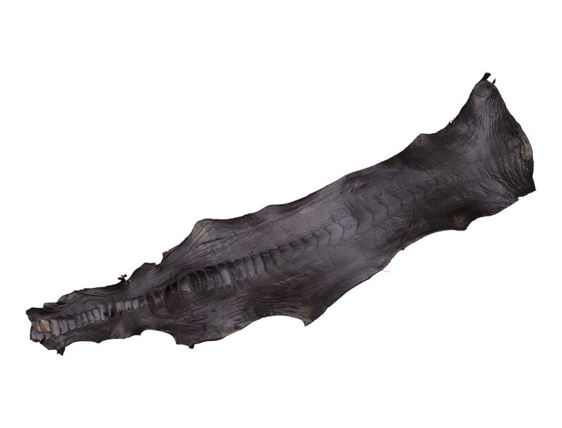 Ostrich skin 74