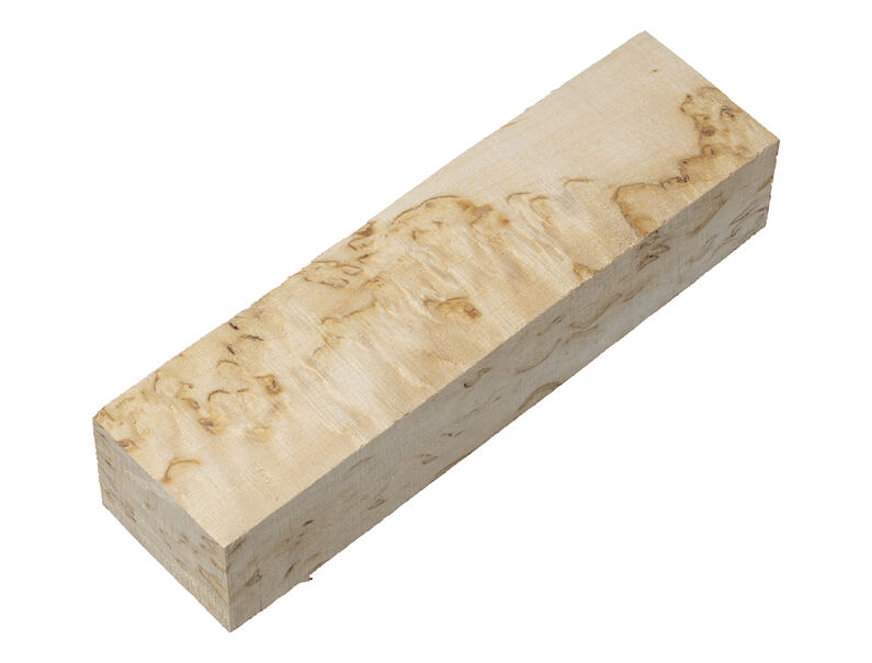 Curly Birch 23