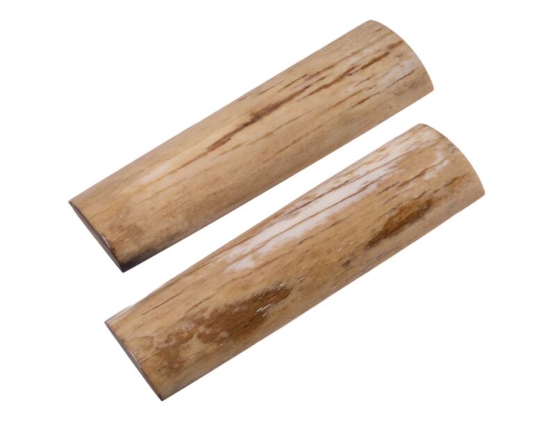 Stabilized Giraffe Bone 51