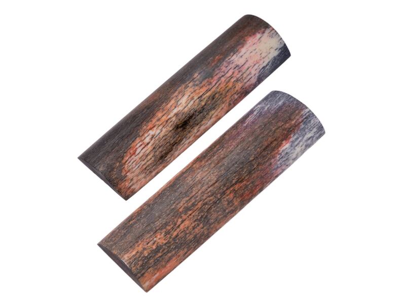 Stabilized Giraffe Bone 72