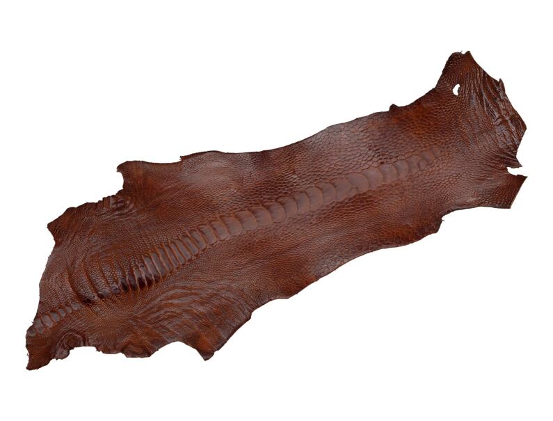 Ostrich skin 110